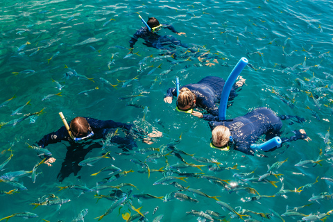 Tour di rafting nell&#039;oceano delle Whitsundays: Snorkeling, passeggiata e WhitehavenSouth Whitehaven - più tempo nella spiaggia di Whitehaven