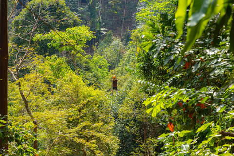 Phuket: Flying Hanuman Zipline Adventure SD4: Epic Adventure with Elephant Jungle