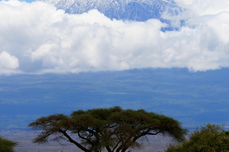 Excursion d'une journée au Kilimandjaro