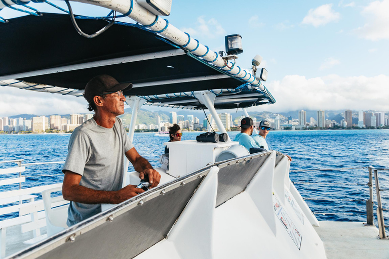 Honolulu, Oahu: Waikiki Whale Watching Cruise