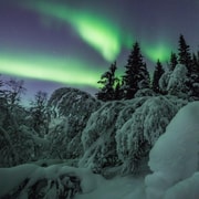 Malangen: paseo nocturno en trineo de perros y aurora boreal