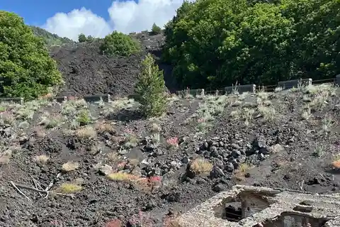 Catania: excursión en jeep por la mañana al monte Etna