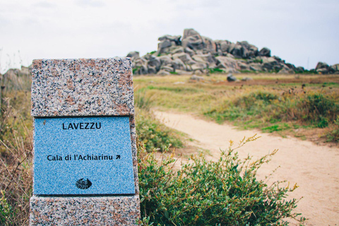 Santa Teresa: Speedboottocht rond Lavezzi en Piana-eiland