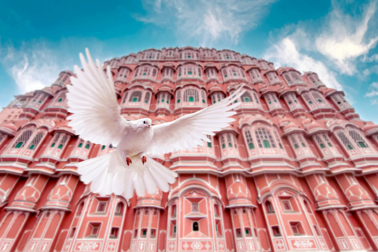 De Delhi : Transfert privé de Delhi à Jaipur en voiture Ac.