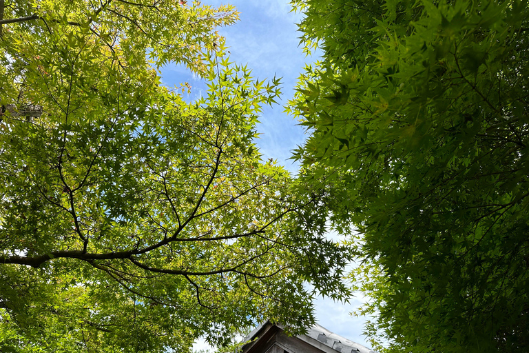 Himeji: Descubra cada detalhe do Castelo de Himeji