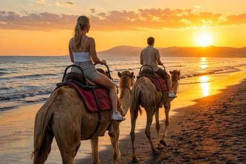 Bali: Between Sanur and Ubud Camel Ride Experience