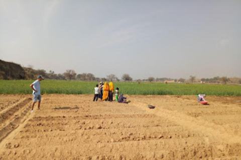 Jaipur: Village Jeep Safari in Open Jeeps