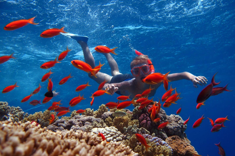 Sharm El Sheikh: Ras Mohamed Cruise met snorkelen &amp; lunch