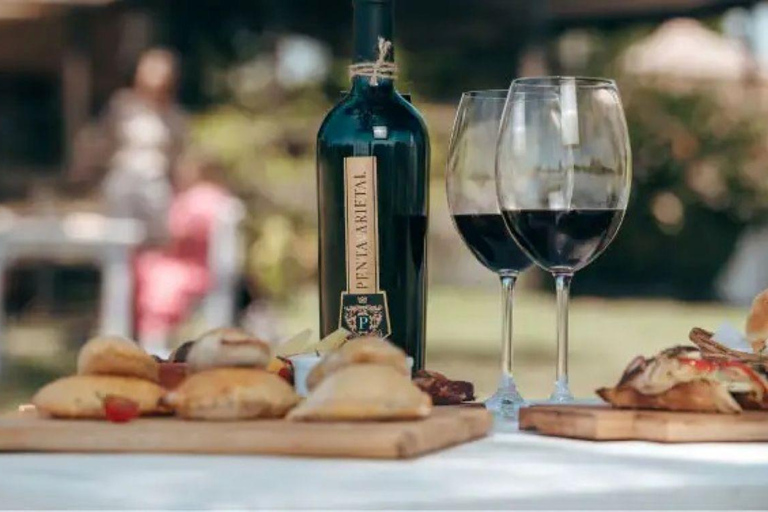 Colonia: Coastal Tour and Exclusive Wine Tasting at a Vineyard Cologne: Coast Tour and Exclusive Wine Tasting in a Vineyard