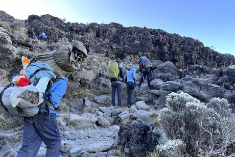 Moshi: scalata del Kilimangiaro in 6 giorni attraverso il percorso Rongai