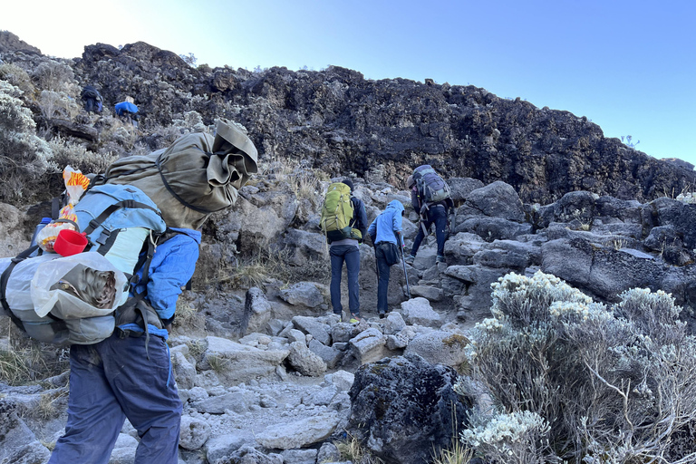 Moshi: scalata del Kilimangiaro in 6 giorni attraverso il percorso Rongai