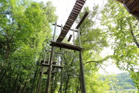 Pigeon Forge, montañas ahumadas Cario de obstáculos de cuerda aventura - Housity