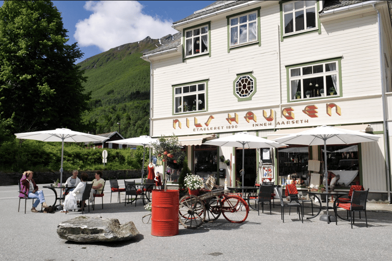 Ålesund-Sæbø ida e volta (parada de 1,5 hora em Sæbø)