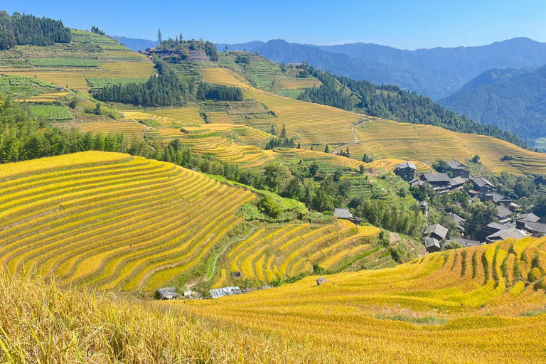 Guilin-Nanning: 8 giorni di fiume Li, terrazze di riso e cascate di Detian