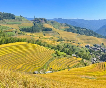 Guilin-Nanning: 8-Day Li River, Rice Terraces & Detian Falls