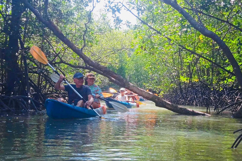 Ko Lanta: Kajakpaddling i mangrove, Ko Talabeng och Skull Island