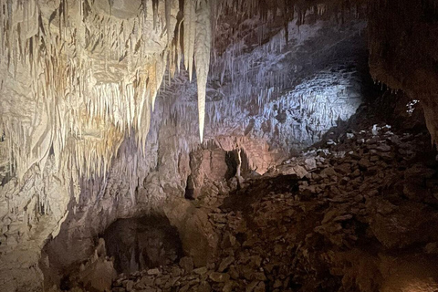 Au départ d'Auckland : Visite des grottes de Waitomo et de la maison des Kiwis