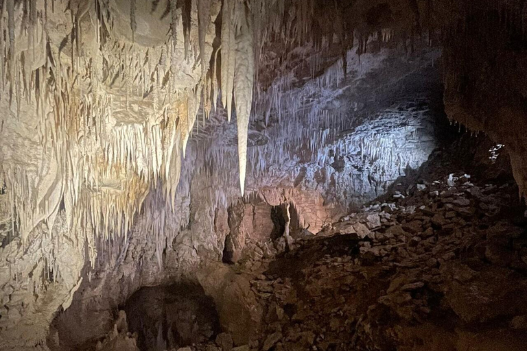 De Auckland: Excursão em grupo às cavernas de Waitomo e à Kiwi House