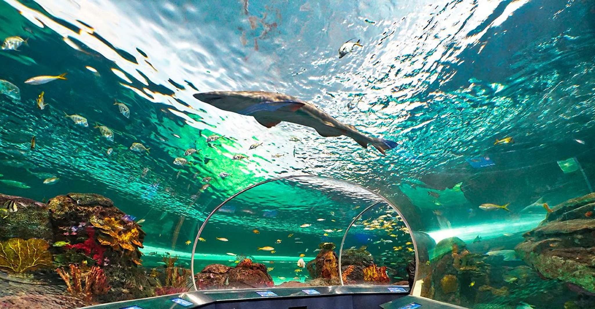 From Montreal: Toronto, Niagara Falls & 1000 Islands Tour photo 10