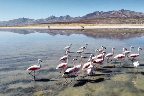 Salinas Lagoon in 4x4 Adventure & Andean Hiking