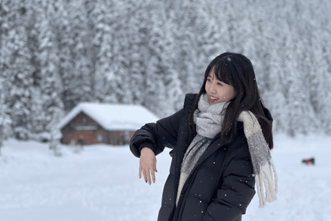 Jezioro Louise, lodowy szlak Johnston Canyon, miasto Banff, wodospad Bow