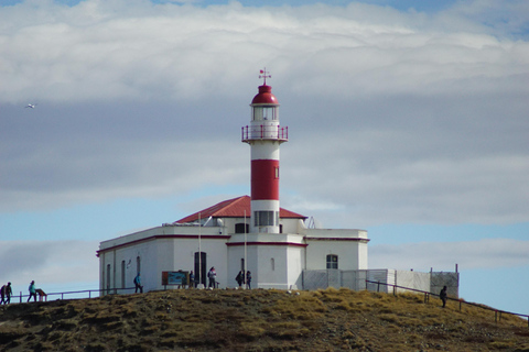 Punta Arenas: Ilha Magdalena - Passeio com pinguins e farol