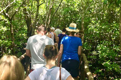 Zanzibar: Jozani Forest, Kuza Cave, Paje Beach & The Rock Private tour with trasfer and entry fees included