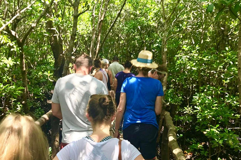 Zanzibar: Jozani Forest, Kuza Cave, Paje Beach & The Rock Private tour with trasfer and entry fees included