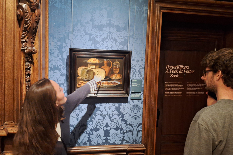 The Hague: Private Guided Tour in the Mauritshuis Museum Dutch tour