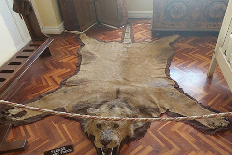 Dagstur till Elefantbarnhemmet och Karen Blixen Museum