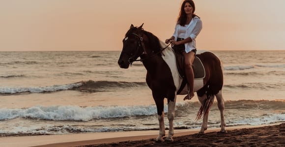 North Corfu: Golden Hour Horseback Ride with Sunset Views