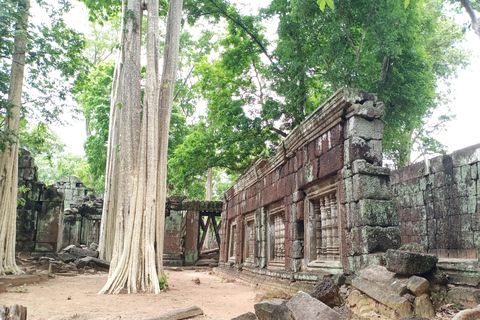 Vanuit Siem Reap: Dagtrip Beng Mealea en Koh Ker Tempel