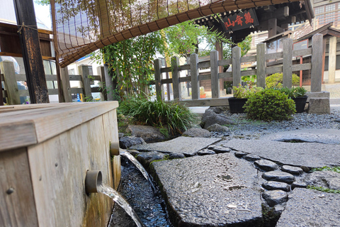 Matsumoto: Home Tea Experience with a Local "Auntie"