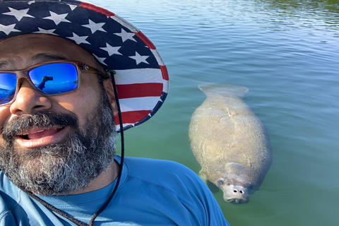 Sarasota: Guided Mangrove Tunnel Kayak Tour Lido Key