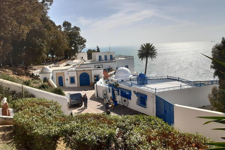 Excursion d&#039;une journée à Tunis Carthage Bardo depuis Hammamet