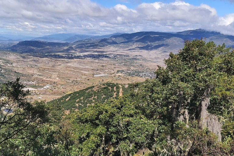 Oaxaca: Tour di 1 giorno a piedi Xaaga-Hierve el AguaPrezzo per 4-7 persone