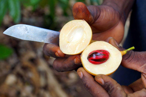 Kuza Cave Tour, Spice Tour, Cooking Class with Lunch