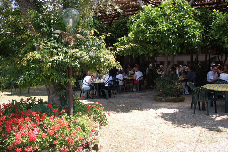 Sorrento: Walking Tour in Lemon Garden w/ Food Tasting