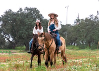 Privat Reiten +Picknick am Strand - Housity