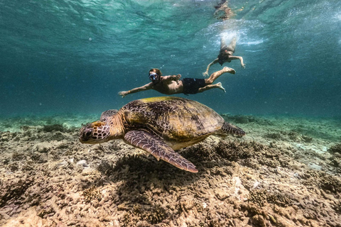 Z Phuket: wycieczka z rurką na wyspy SurinZ Phuket: wycieczka snorkelingowa na wyspy Surin