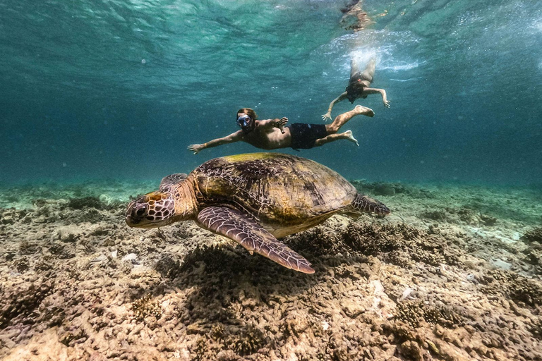 Da Phuket: escursione di snorkeling alle Isole Surin