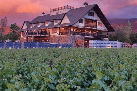 Santiago : Visite des vignobles au coucher du soleil avec dégustation de vins et dînerTransfert au domaine viticole avec billet, dégustation et dîner