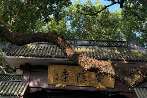 Best of Hangzhou: The Ultimate 1-Day Nature & Culture Tour