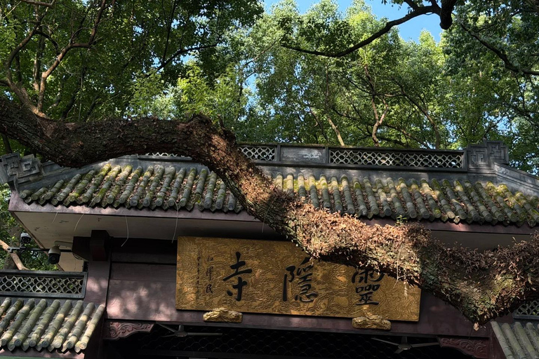 Best of Hangzhou: The Ultimate 1-Day Nature & Culture Tour