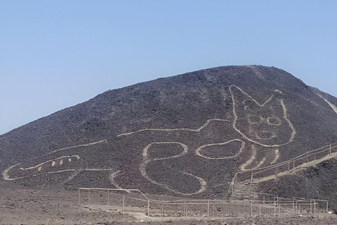 Nazca: Museo Maria Reiche e tour del punto di vista delle linee di Nazca