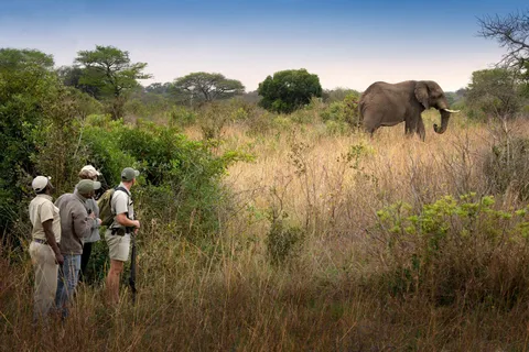 Safari de 4 días por las cataratas Victoria y el Parque Nacional de Hwange