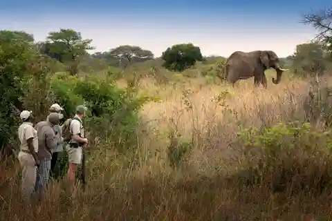 Victoria Falls and Hwange National Park 4-Day Safari Tour