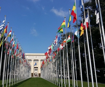 Geneva: International Area & Old Town Guided Bus Tour