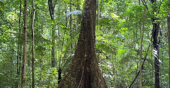 Krabi: Tiger Cave Temple, Waterfall & Night Market Tour