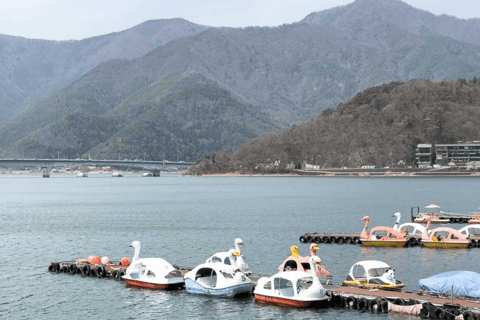 From Tokyo: Mount Fuji and Hakone Private Customizable Trip From Tokyo: Mount Fuji and Hakone Full Customizable Trip